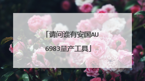 ����˭�а���AU6983��������