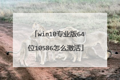 win10רҵ��64λ10586��ô����