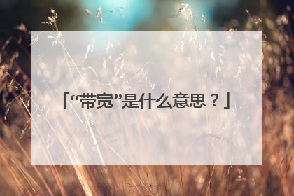 ����������ʲô��˼��