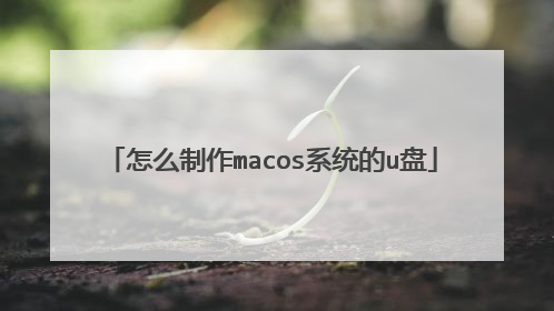 怎么制作macos系统的u盘