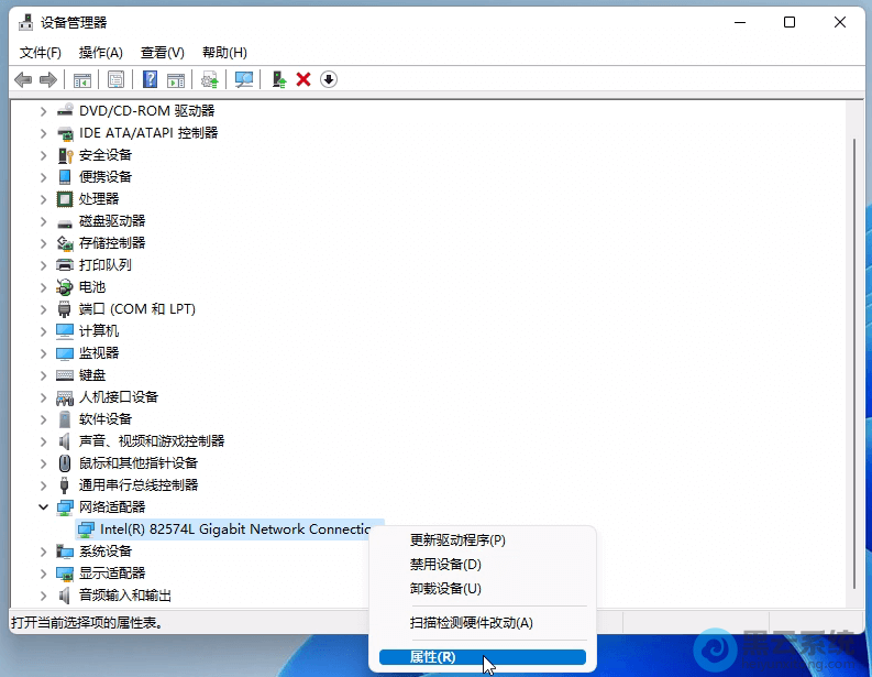 ѡ�������