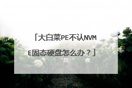 大白菜PE不认NVME固态硬盘怎么办?