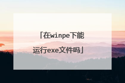 ��winpe��������exe�ļ���
