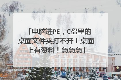 ���Խ�PE��C����������ļ��д򲻿��������������ϣ�������