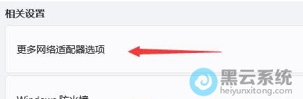 �����������������ѡ��