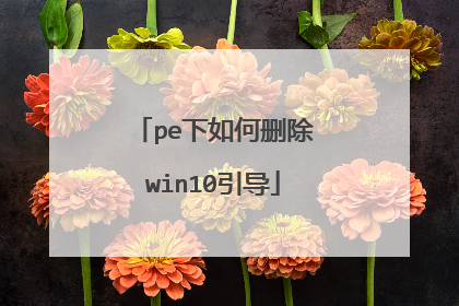 pe�����ɾ��win10����