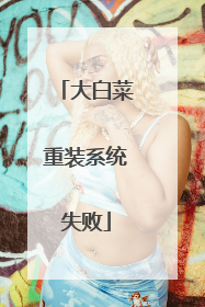 ��ײ���װϵͳʧ��