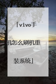 vivo�ֻ���ôˢ����װϵͳ