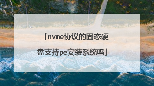 nvmeЭ��Ĺ�̬Ӳ��֧��pe��װϵͳ��