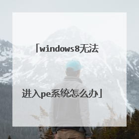 windows8�޷�����peϵͳ��ô��