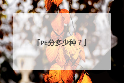 PE�ֶ����֣�