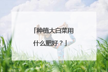 ��ֲ��ײ���ʲô�ʺã�