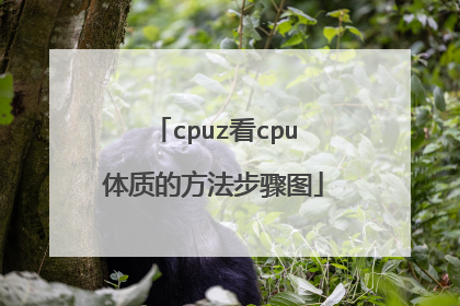 cpuz��cpu���ʵķ�������ͼ