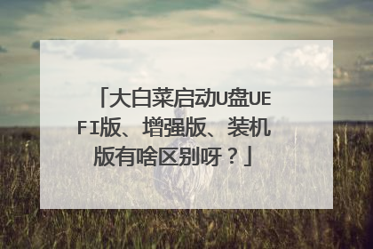 ��ײ�����U��UEFI�桢��ǿ�桢װ������ɶ����ѽ��