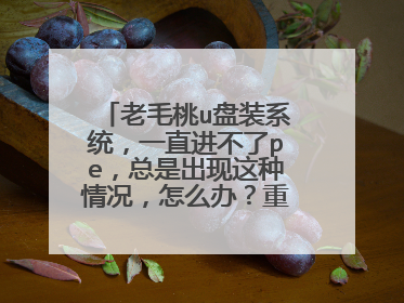 老毛桃u盘装系统,一直进不了pe,总是出现这种情况,怎么办?重启好几次了!