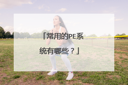 ���õ�PEϵͳ����Щ��