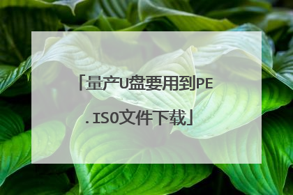 ����U��Ҫ�õ�PE.ISO�ļ�����