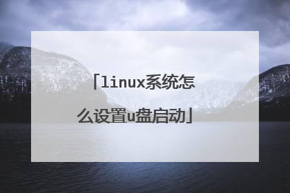 linuxϵͳ��ô����u������