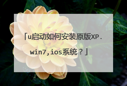 u������ΰ�װԭ��XP.win7,iosϵͳ��