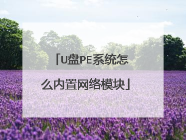 U��PEϵͳ��ô��������ģ��