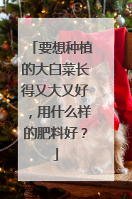 Ҫ����ֲ�Ĵ�ײ˳����ִ��ֺã���ʲô���ķ��Ϻã�