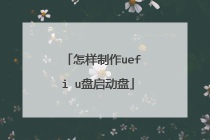 ��������uefi u��������