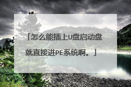 ��ô�ܲ���U�������̾�ֱ�ӽ�PEϵͳ����