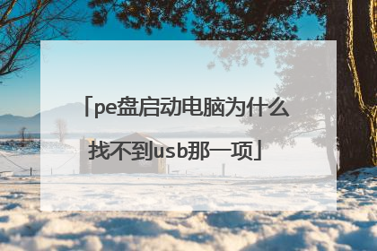 pe����������Ϊʲô�Ҳ���usb��һ��