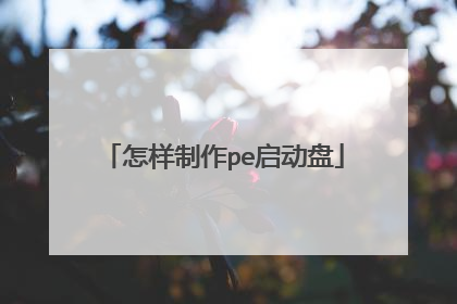 ��������pe������