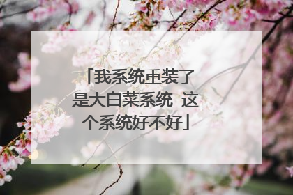 ��ϵͳ��װ�� �Ǵ�ײ�ϵͳ ���ϵͳ�ò���