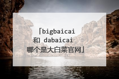 bigbaicai �� dabaicai �ĸ��Ǵ�ײ˹���