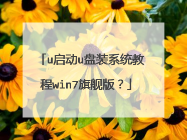 u����u��װϵͳ�̳�win7�콢�棿