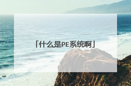 ʲô��PEϵͳ��
