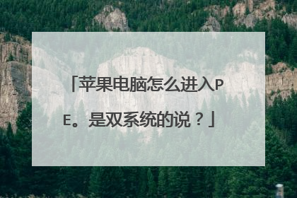 ƻ��������ô����PE����˫ϵͳ��˵��