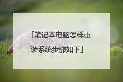 �ʼǱ�����������װϵͳ��������