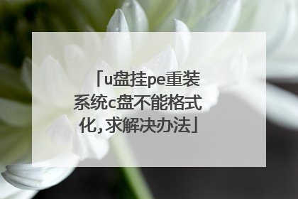 u�̹�pe��װϵͳc�̲��ܸ�ʽ��,�����취