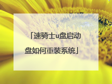 速骑士u盘启动盘如何重装系统