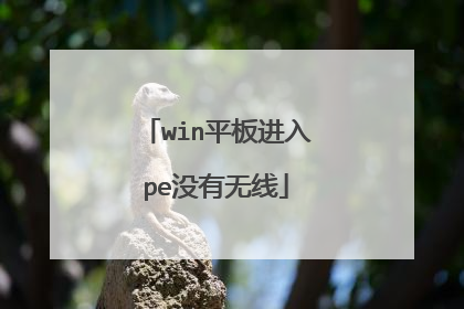 winƽ�����peû������