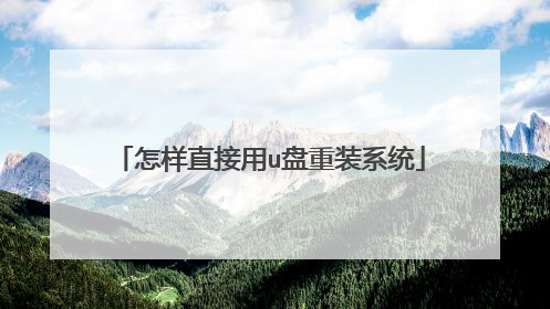 怎样直接用u盘重装系统
