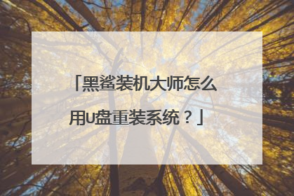 ����װ����ʦ��ô��U����װϵͳ��