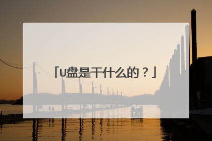 U���Ǹ�ʲô�ģ�