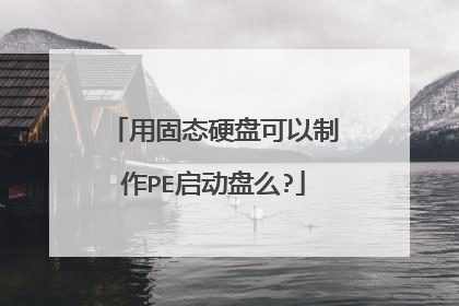 �ù�̬Ӳ�̿�������PE������ô?