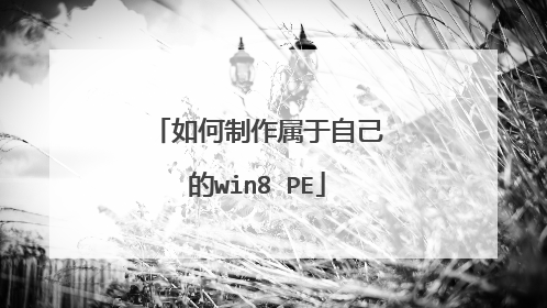 ������������Լ���win8 PE