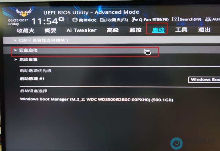 ѡ������