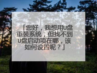 ���ã�������U����װϵͳ�����Ҳ���U�����������ģ�����������أ�