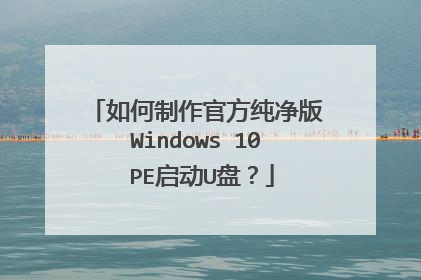 ��������ٷ�������Windows 10 PE����U�̣�
