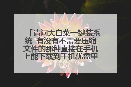 ���ʴ�ײ�һ��װϵͳ ��û�в���Ҫѹ���ļ�������ֱ�����ֻ��������ص��ֻ�������Ϳ�����ϵͳ��