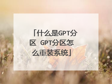 ʲô��GPT���� GPT������ô��װϵͳ