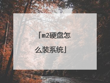 m2Ӳ����ôװϵͳ