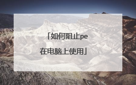 �����ֹpe�ڵ�����ʹ��